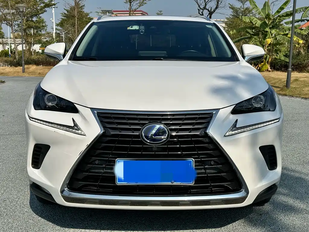 Lexus Lexus NX 300h FWD Premium Edition (China VI) 2021 - thumbnail 2