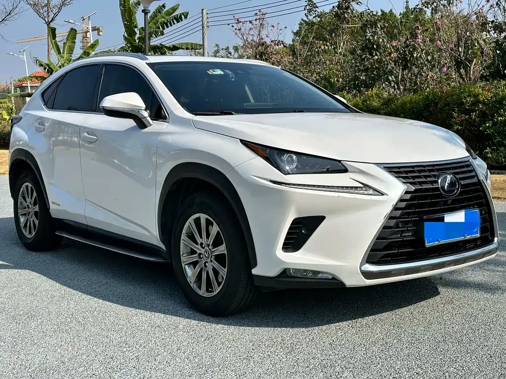 Lexus Lexus NX 300h FWD Premium Edition (China VI) 2021 - thumbnail 3