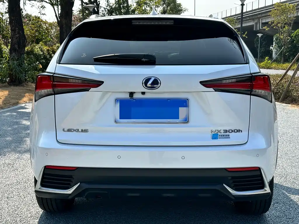 Lexus Lexus NX 300h FWD Premium Edition (China VI) 2021 - thumbnail 5