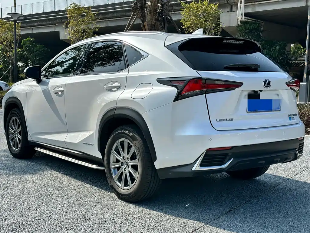 Lexus Lexus NX 300h FWD Premium Edition (China VI) 2021 - thumbnail 6