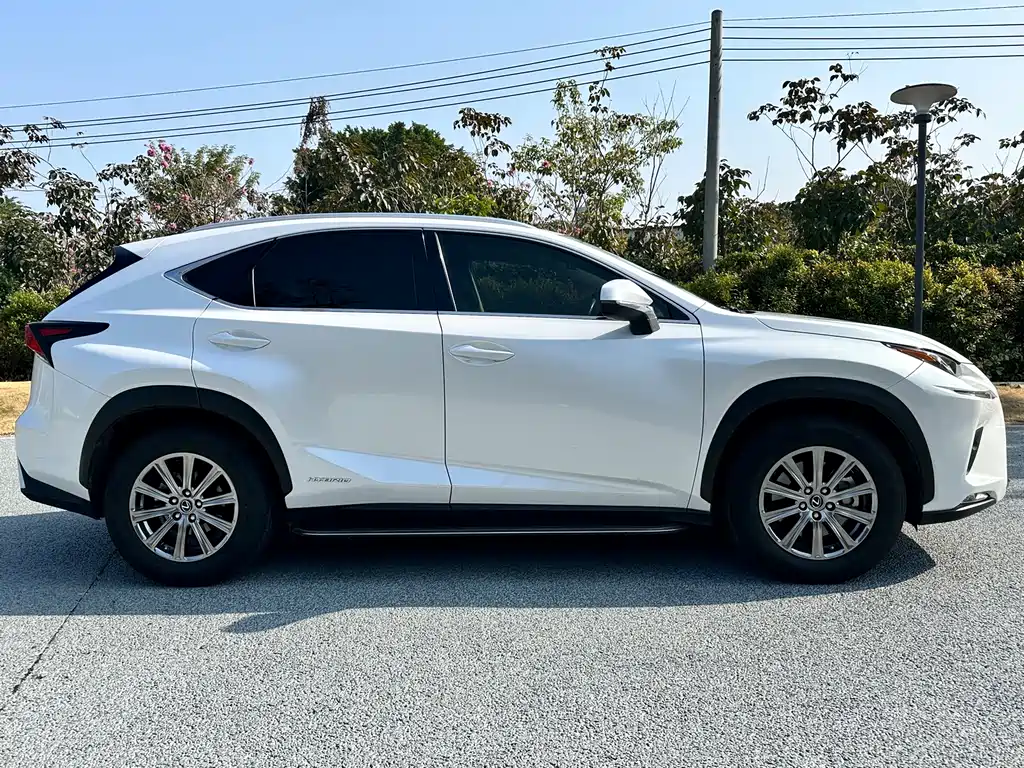 Lexus Lexus NX 300h FWD Premium Edition (China VI) 2021 - thumbnail 7