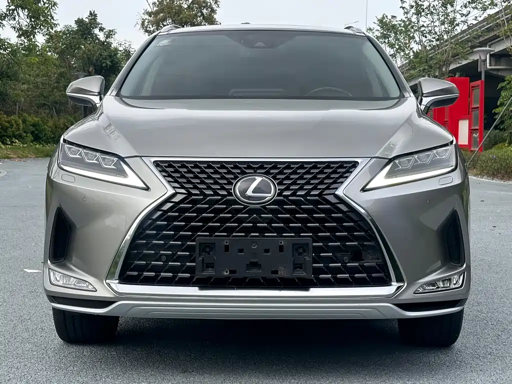 Lexus Lexus RX 300 AWD Elegant Edition 2020 Model Year Facelift 2021 - thumbnail 2