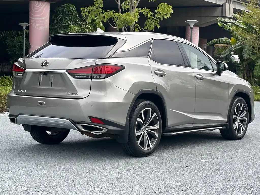Lexus Lexus RX 300 AWD Elegant Edition 2020 Model Year Facelift 2021 - thumbnail 4
