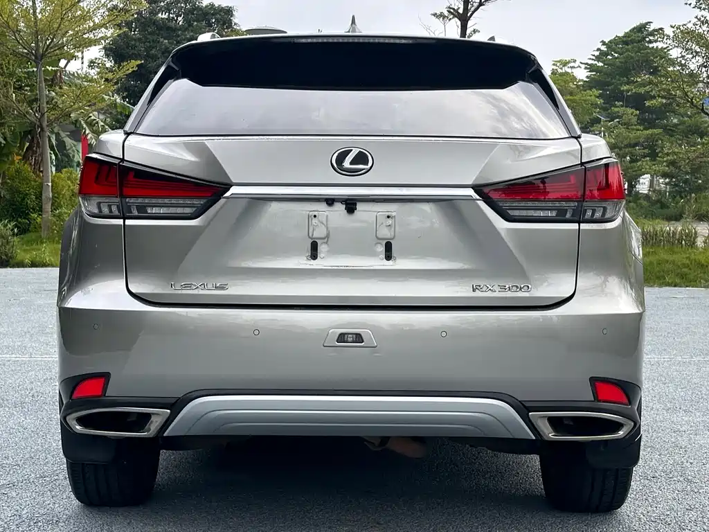 Lexus Lexus RX 300 AWD Elegant Edition 2020 Model Year Facelift 2021 - thumbnail 5