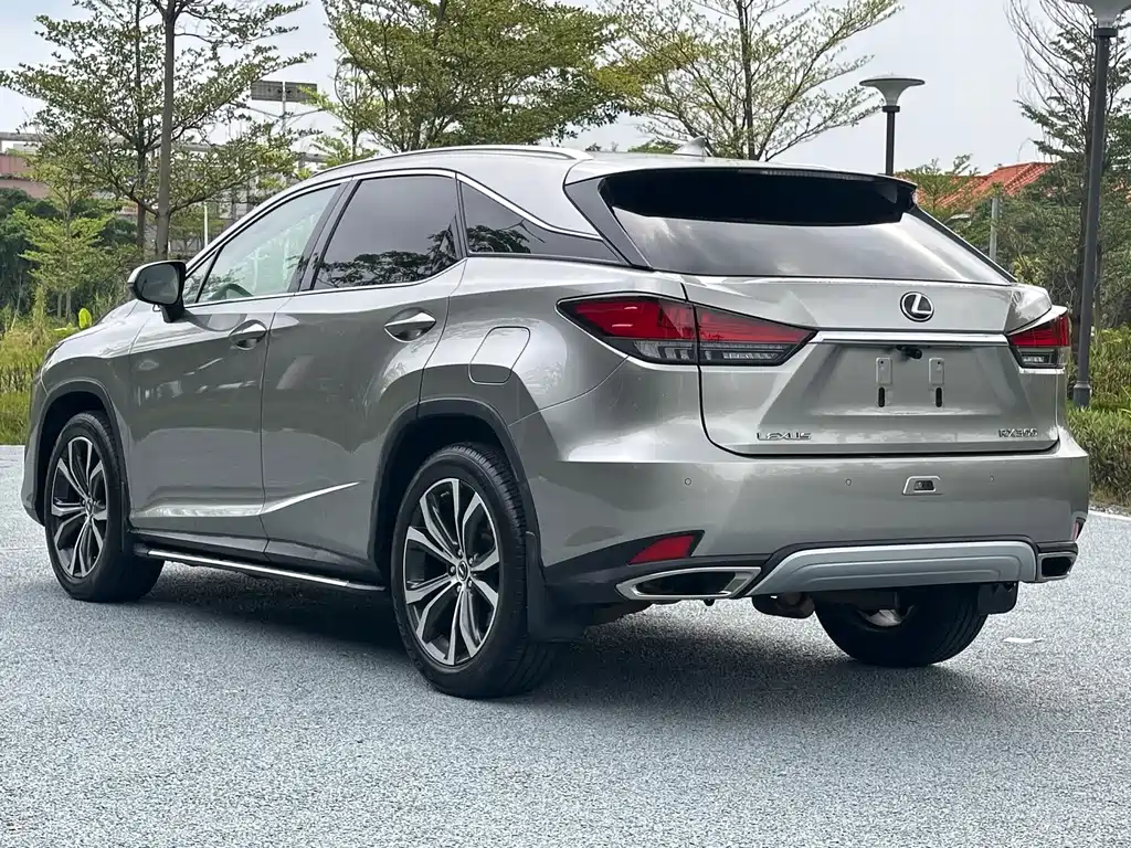 Lexus Lexus RX 300 AWD Elegant Edition 2020 Model Year Facelift 2021 - thumbnail 6