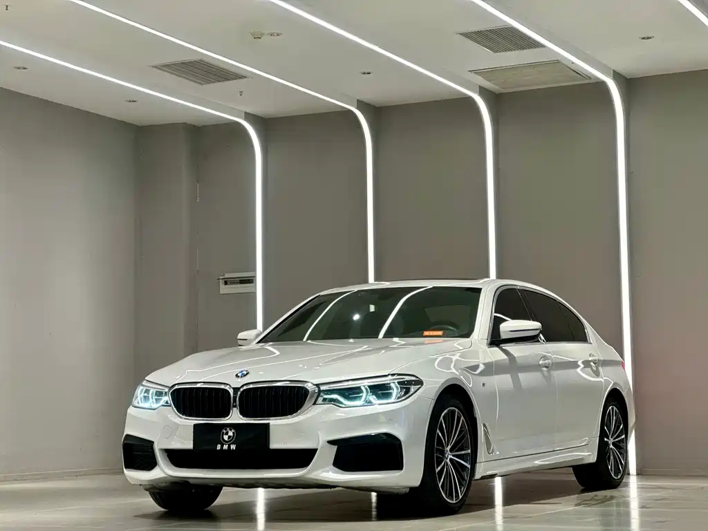 BMW BMW 5 Series 2020 530Li Premium M Sport Package 2020