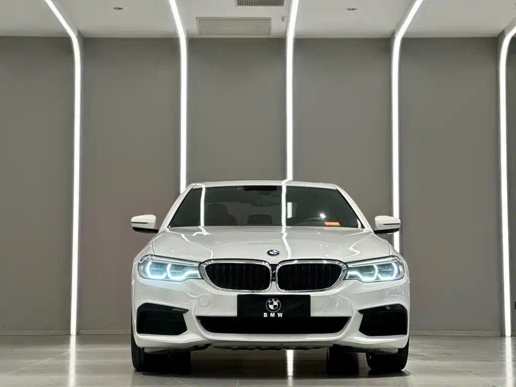 BMW BMW 5 Series 2020 530Li Premium M Sport Package 2020 - thumbnail 2