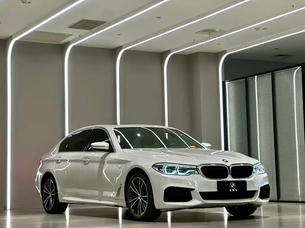 BMW BMW 5 Series 2020 530Li Premium M Sport Package 2020 - thumbnail 3