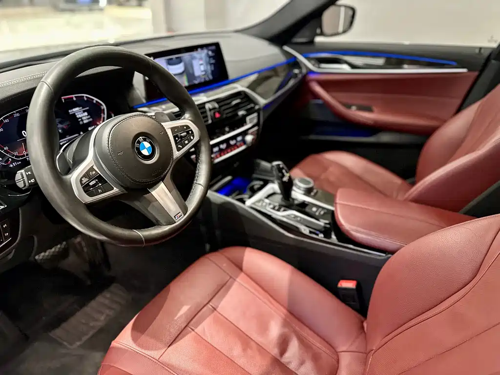 BMW BMW 5 Series 2020 530Li Premium M Sport Package 2020 - thumbnail 4