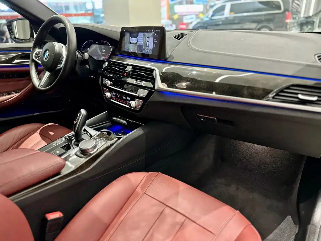 BMW BMW 5 Series 2020 530Li Premium M Sport Package 2020 - thumbnail 6
