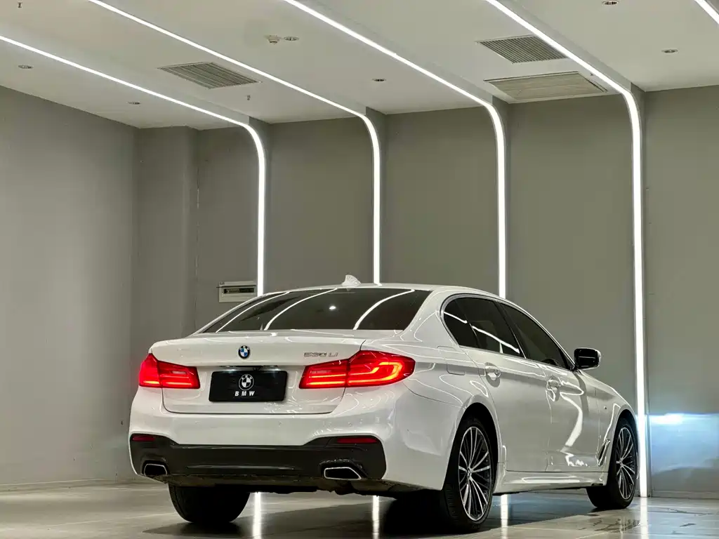 BMW BMW 5 Series 2020 530Li Premium M Sport Package 2020 - thumbnail 8