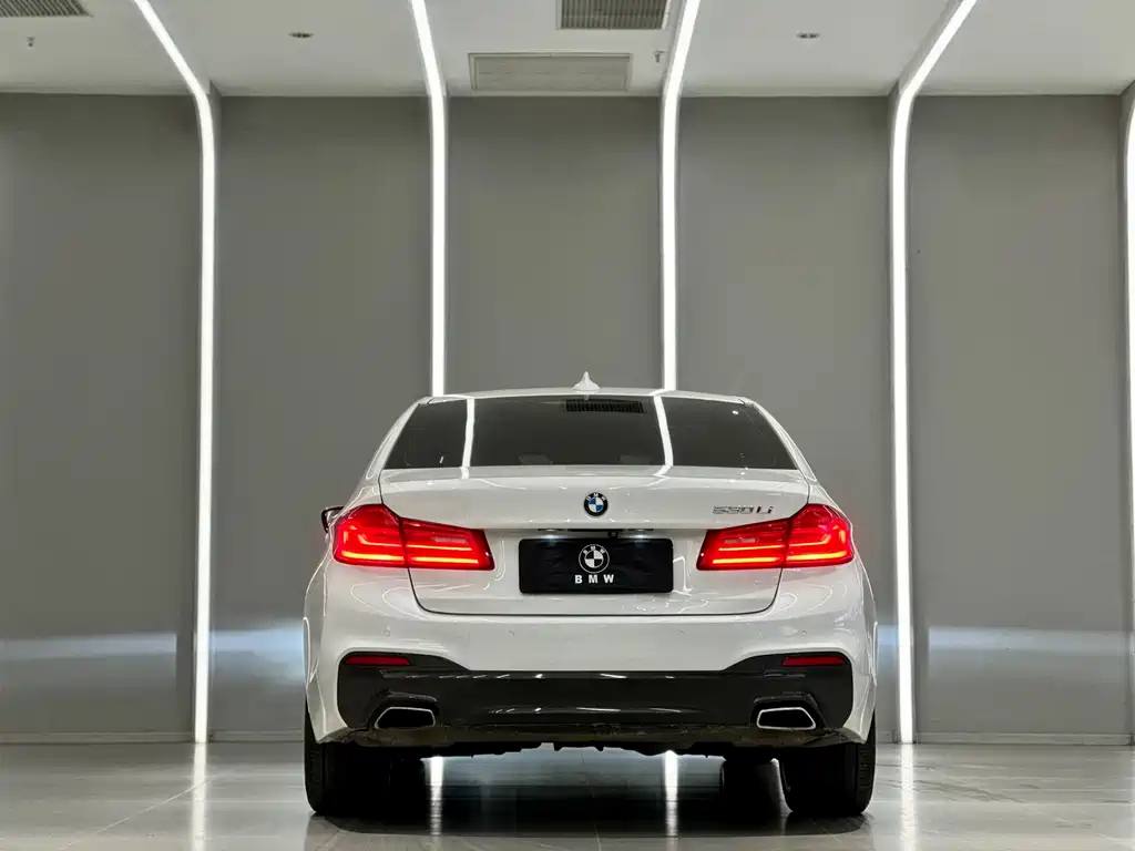 BMW BMW 5 Series 2020 530Li Premium M Sport Package 2020 - thumbnail 9
