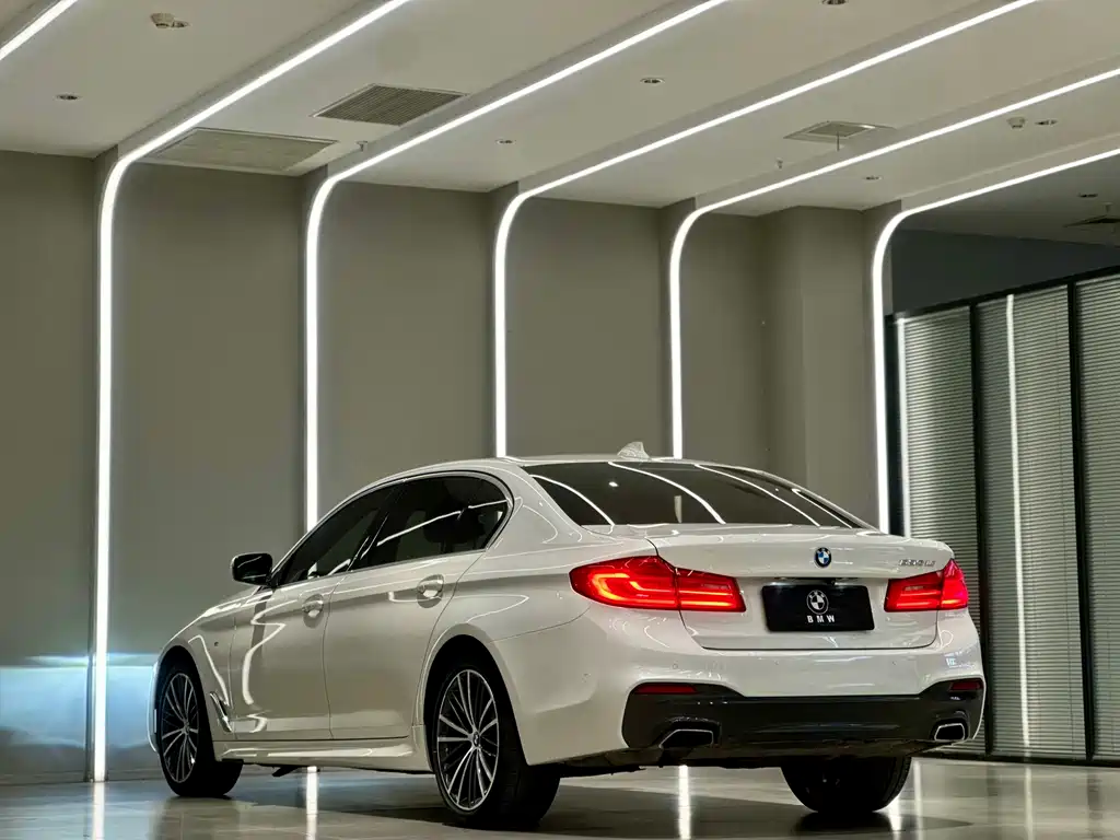 BMW BMW 5 Series 2020 530Li Premium M Sport Package 2020 - thumbnail 10