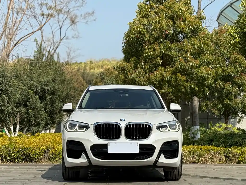BMW BMW X3 2019 xDrive25i M Sport Package 2019 - thumbnail 2