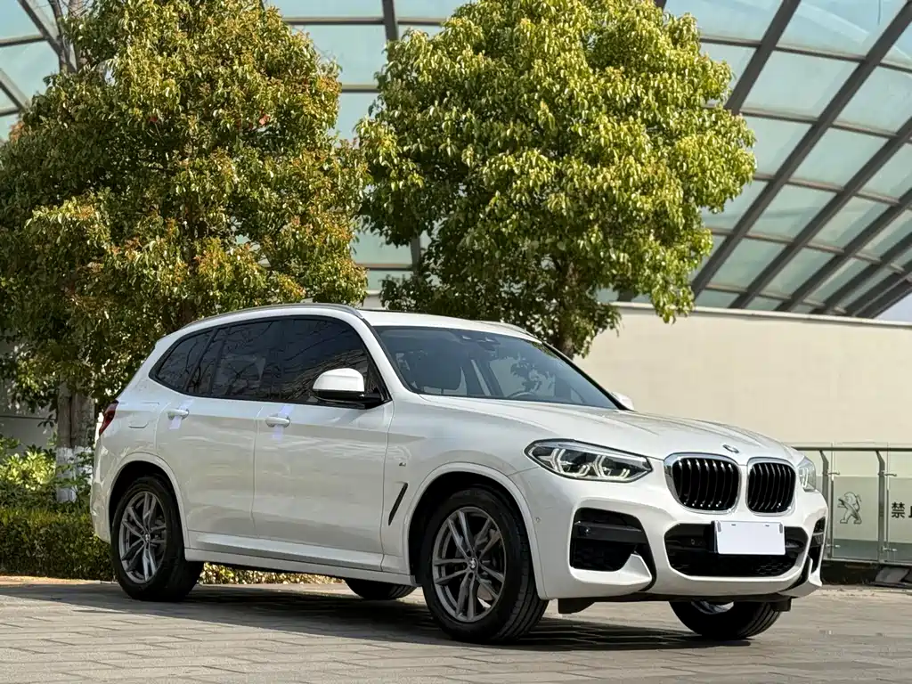 BMW BMW X3 2019 xDrive25i M Sport Package 2019 - thumbnail 3