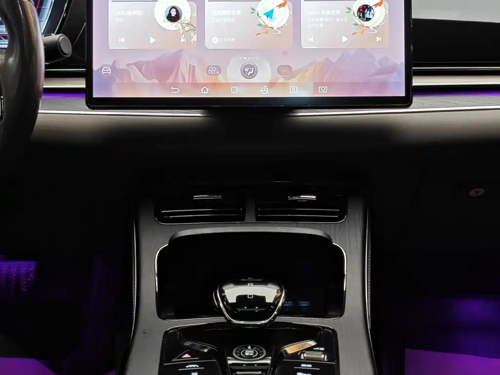 BYD BYD Han 2020 DM AWD Performance Edition Premium Model 2021 - thumbnail 19