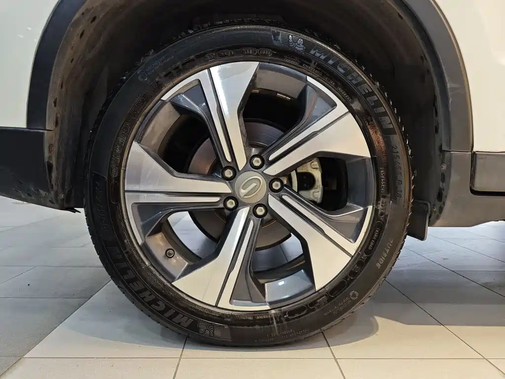 GAC Group Weltmeister PHEV 2019 Elite Edition 2019 - thumbnail 29