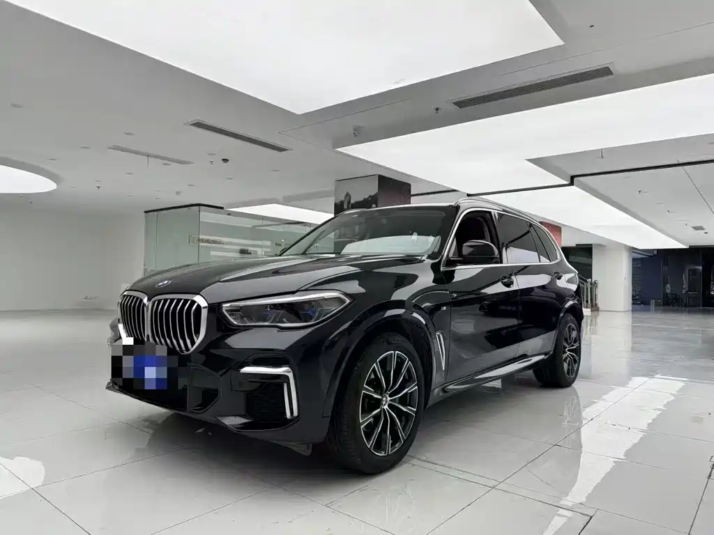 BMW BMW X5 xDrive 30Li M Sport Package 2022 Model Year 2022