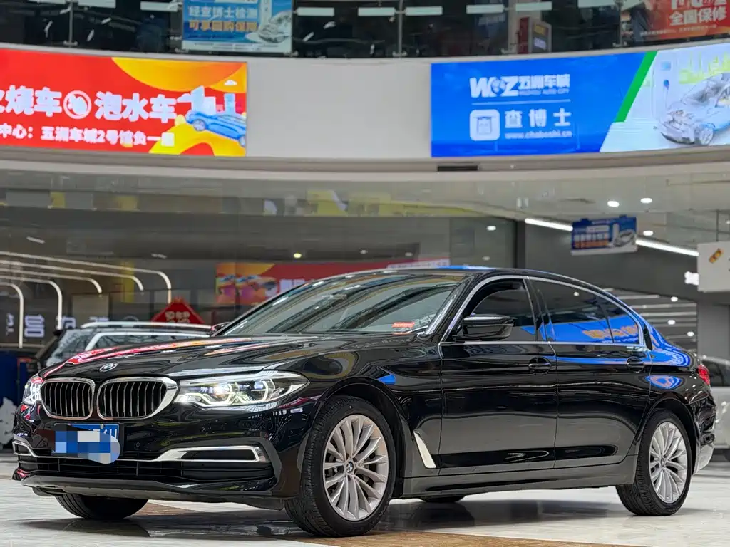 BMW BMW 5 Series 2020 530Li Leading Model Luxury Package 2020