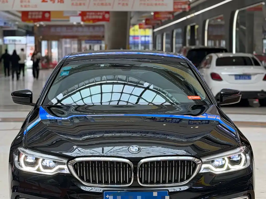 BMW BMW 5 Series 2020 530Li Leading Model Luxury Package 2020 - thumbnail 2
