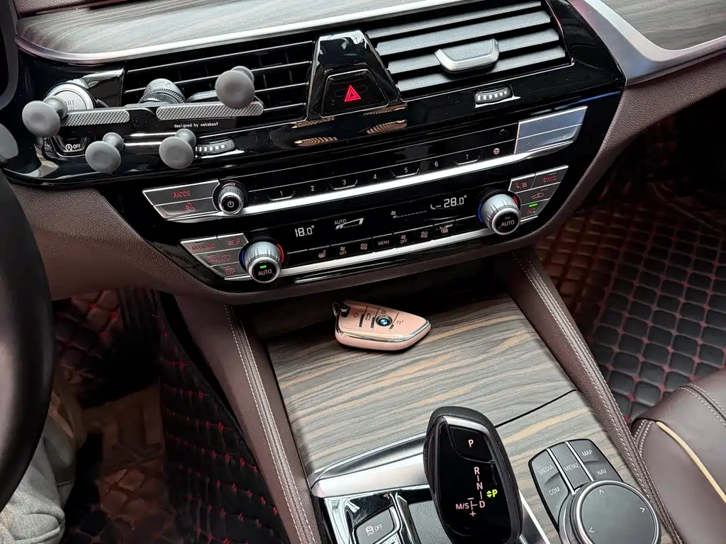 BMW BMW 5 Series 2020 530Li Leading Model Luxury Package 2020 - thumbnail 11