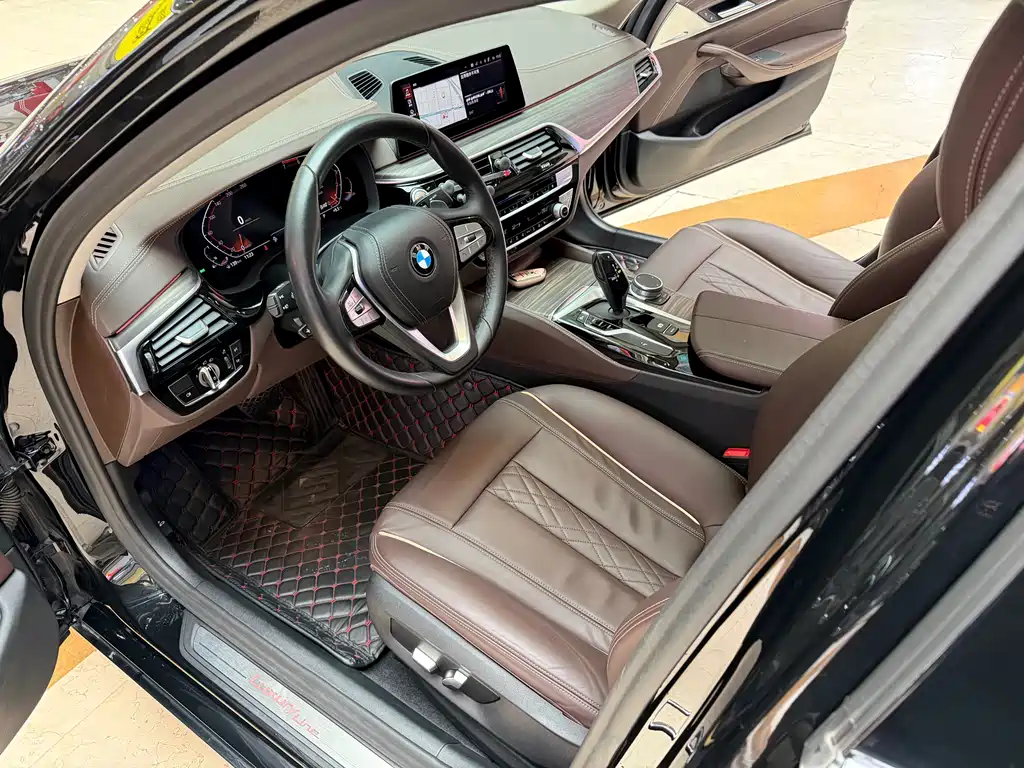 BMW BMW 5 Series 2020 530Li Leading Model Luxury Package 2020 - thumbnail 20