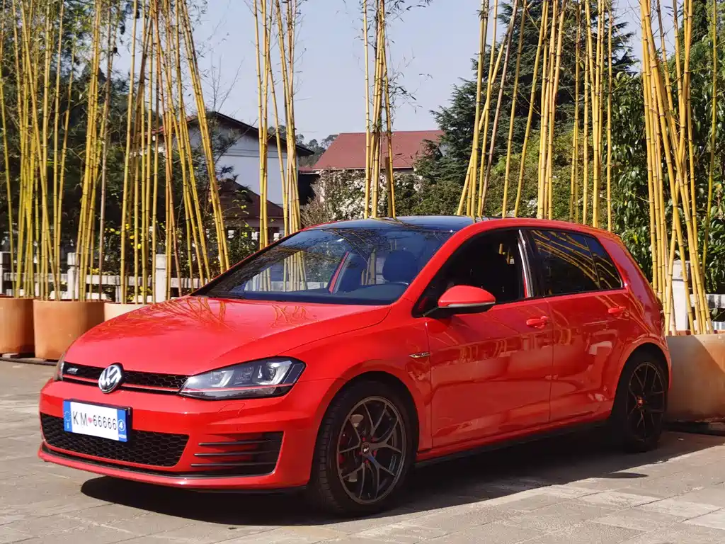 Volkswagen Volkswagen Golf GTI 2016 2.0 TSI GTI 2017