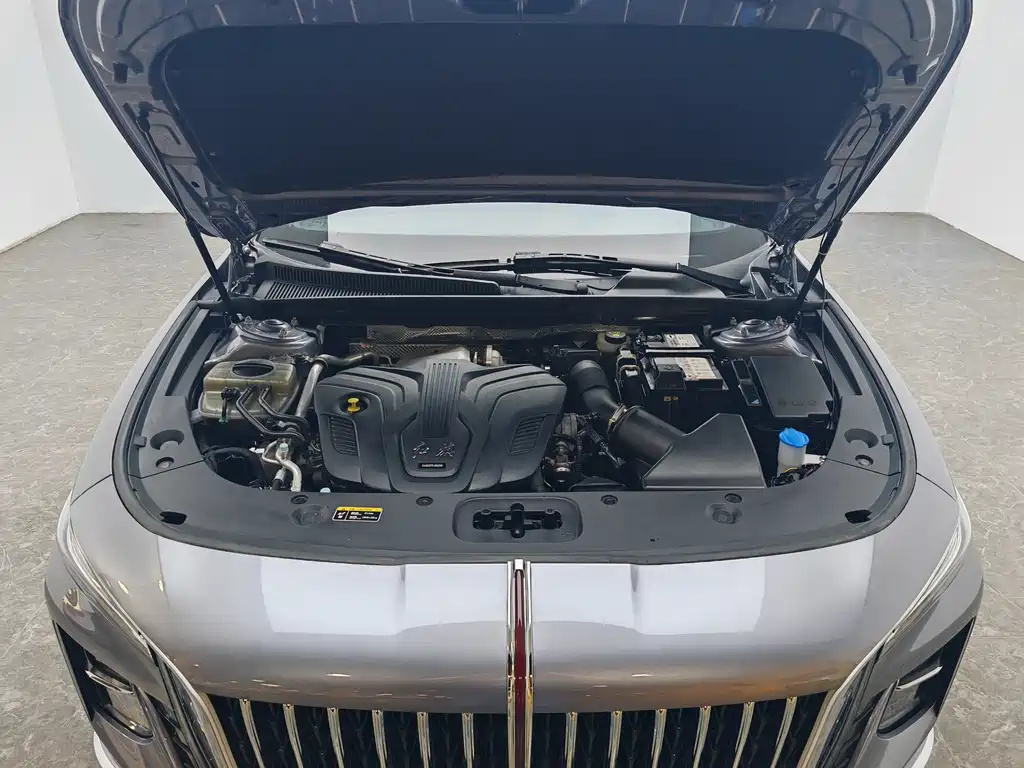 Hongqi Hongqi H5 2023 2.0T Automatic Intelligent Connectivity Flag Enjoyment Edition 2023 - thumbnail 13