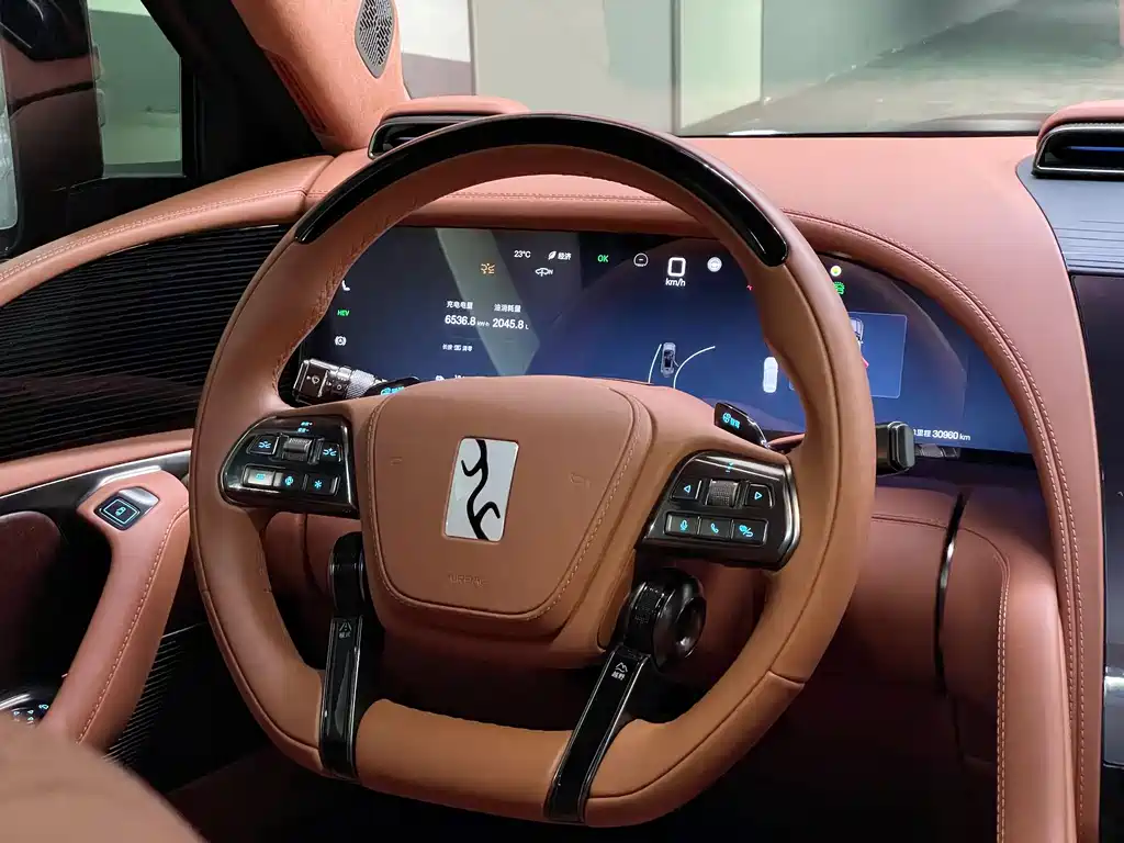 BYD UM U8 2023 Luxury Edition 2024 - thumbnail 12