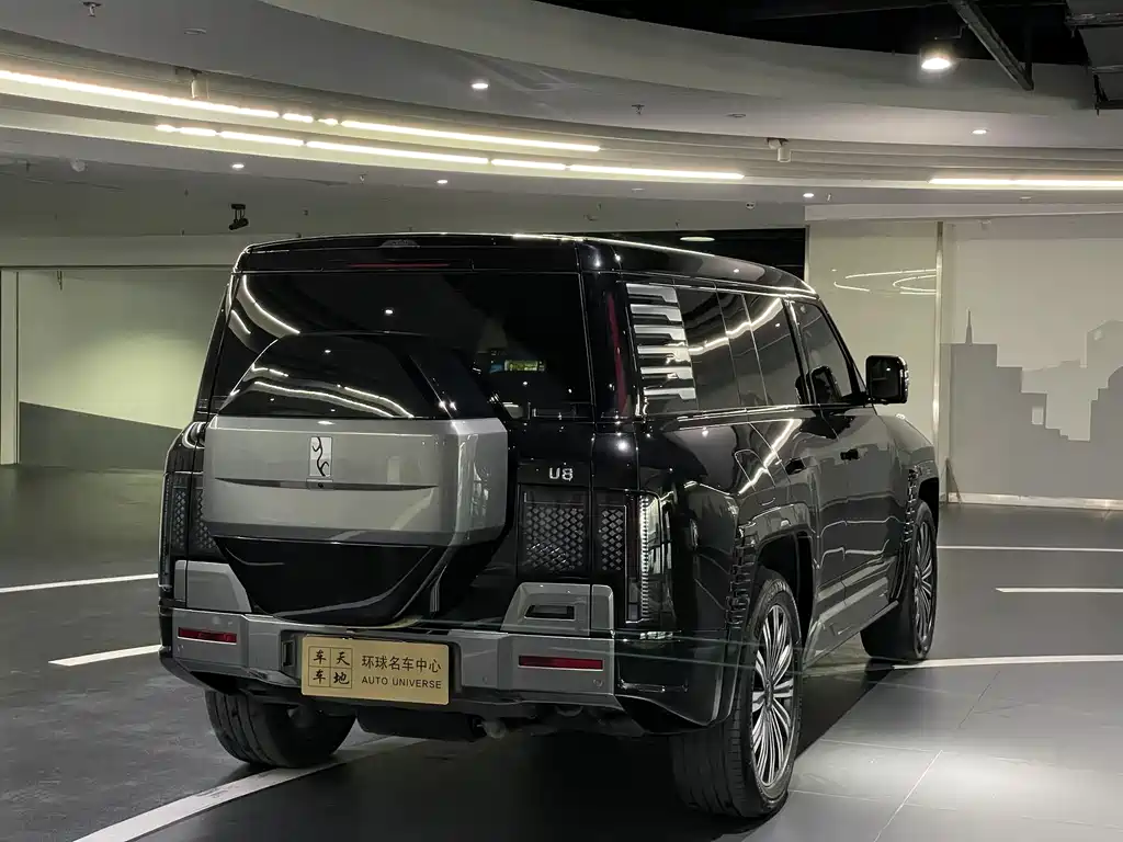 BYD UM U8 2023 Luxury Edition 2024 - thumbnail 19
