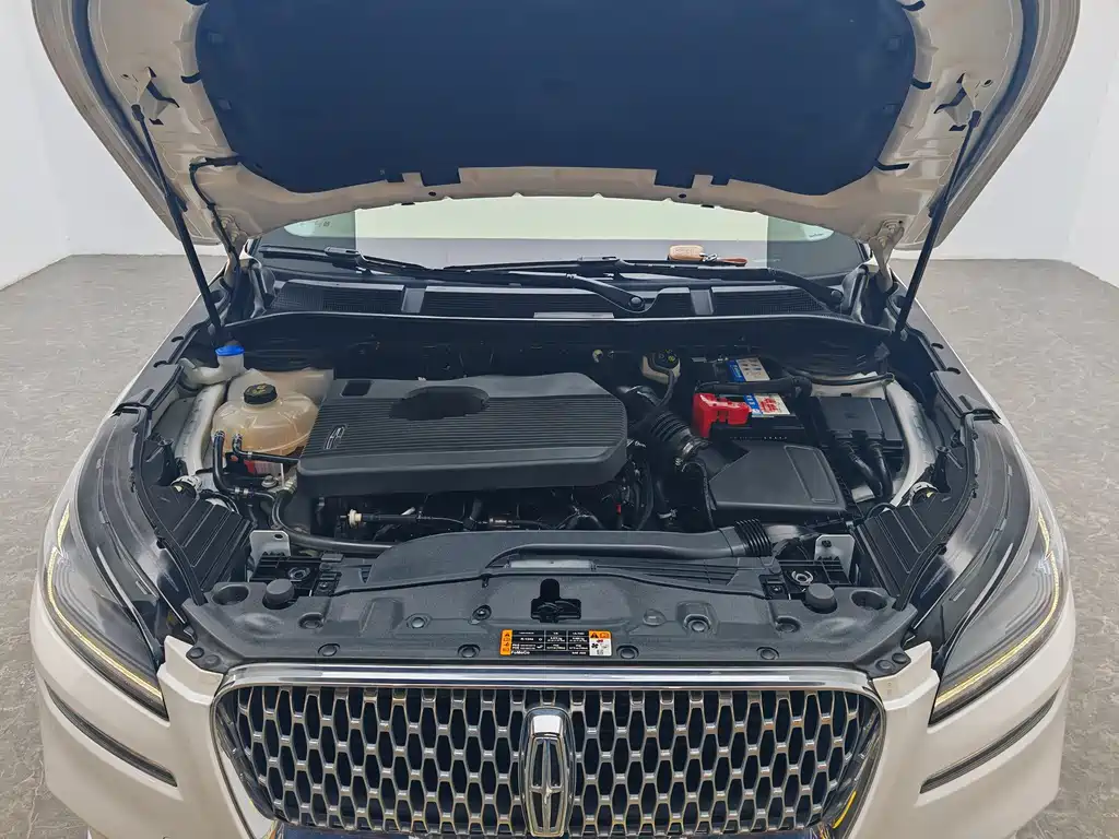 Lincoln Liberator 2022 2.0T Two-Wheel Drive Premium Edition 2022 - thumbnail 13