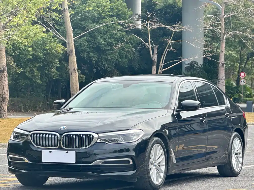 BMW BMW 5 Series 2020 530Li Leading Model Luxury Package 2020