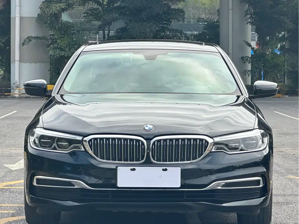 BMW BMW 5 Series 2020 530Li Leading Model Luxury Package 2020 - thumbnail 2