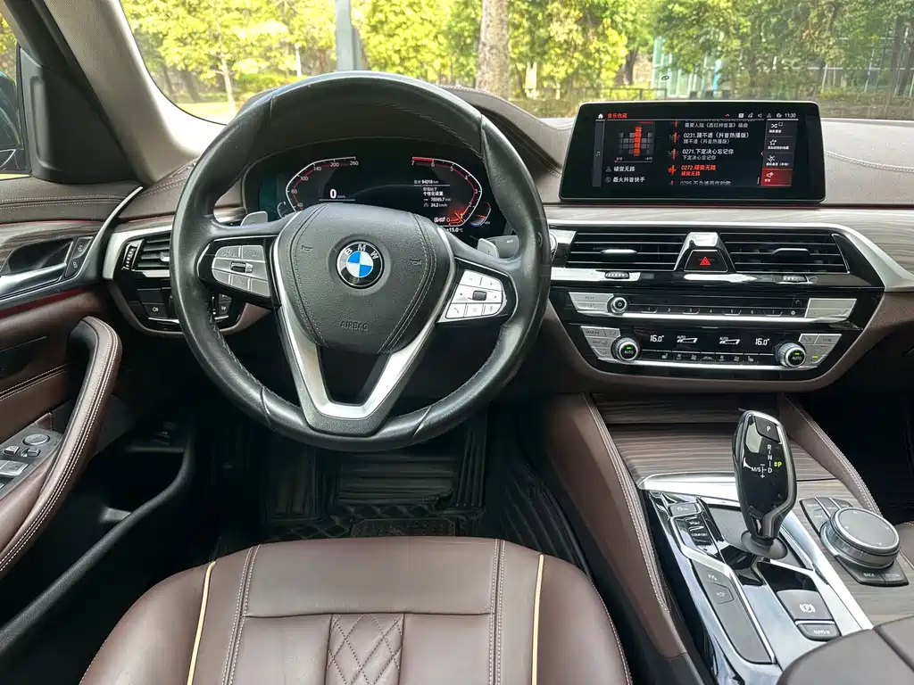 BMW BMW 5 Series 2020 530Li Leading Model Luxury Package 2020 - thumbnail 4