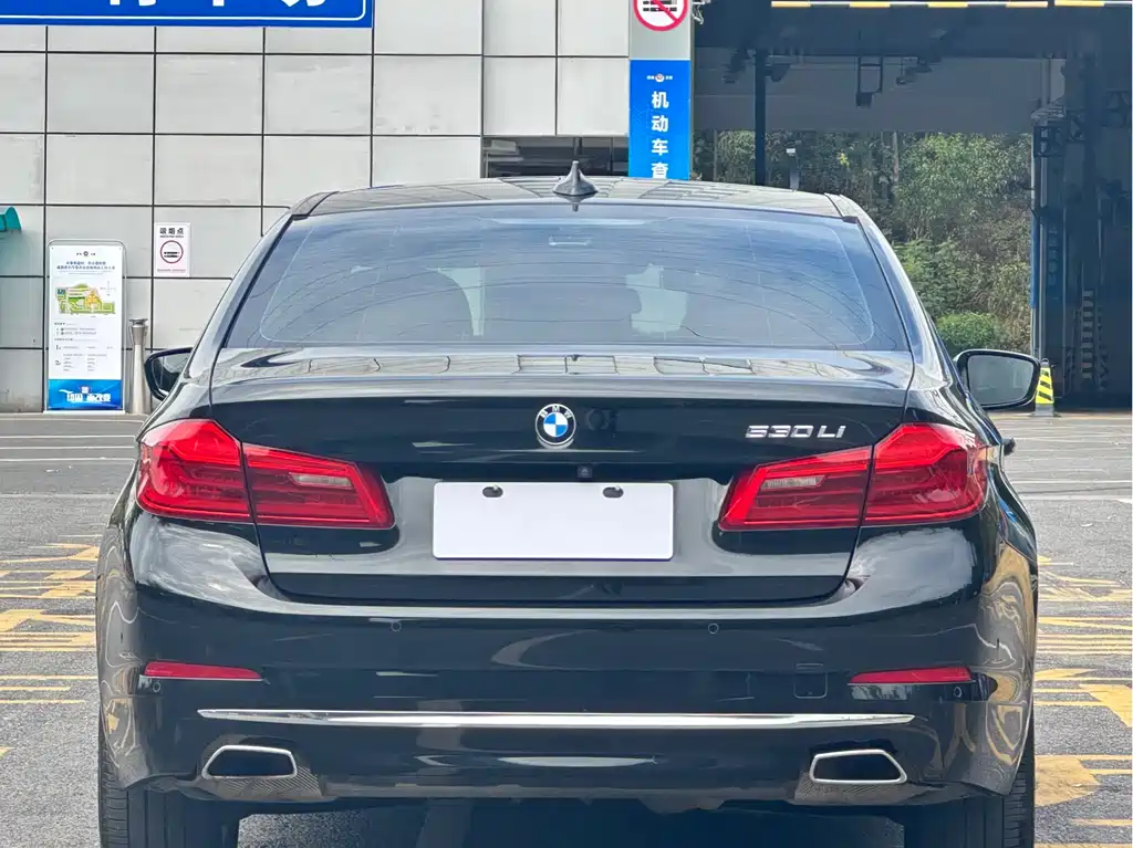 BMW BMW 5 Series 2020 530Li Leading Model Luxury Package 2020 - thumbnail 15