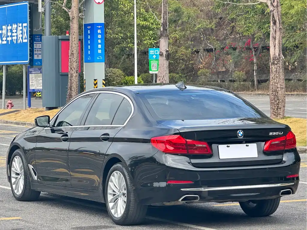BMW BMW 5 Series 2020 530Li Leading Model Luxury Package 2020 - thumbnail 16