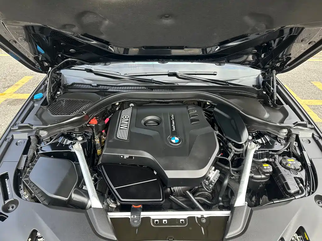 BMW BMW 5 Series 2020 530Li Leading Model Luxury Package 2020 - thumbnail 17
