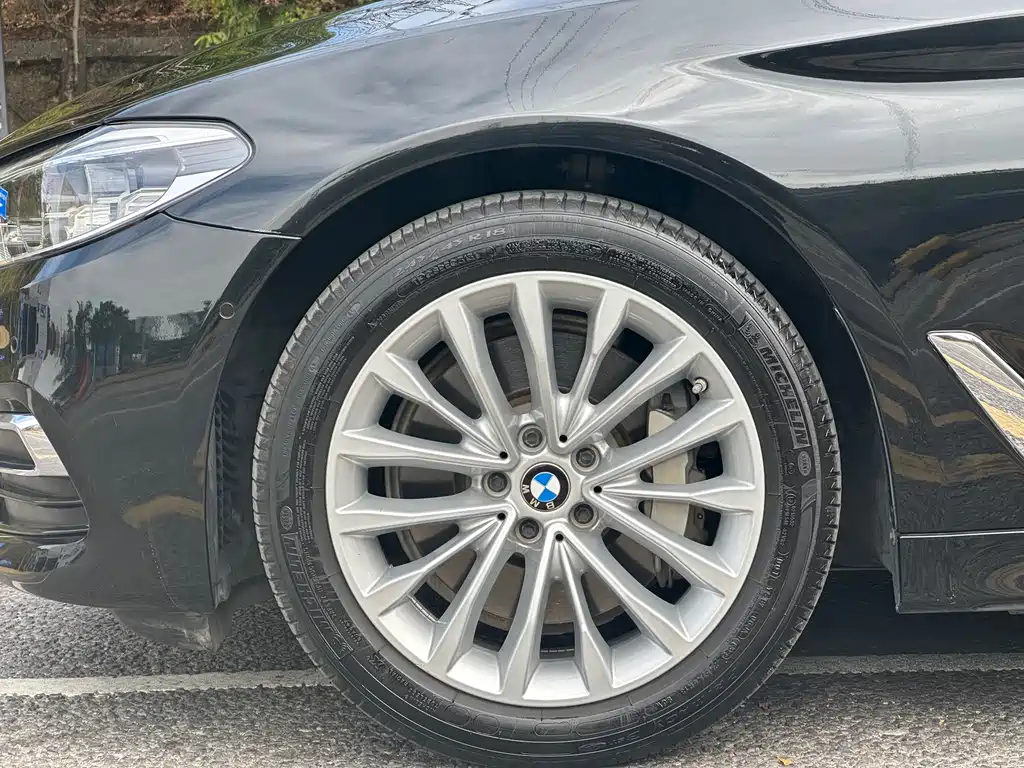 BMW BMW 5 Series 2020 530Li Leading Model Luxury Package 2020 - thumbnail 19