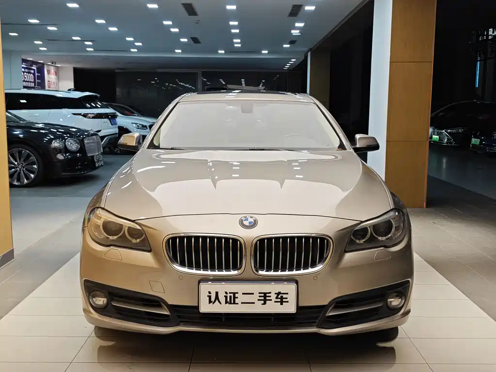 BMW BMW 5 Series 2014 520Li Elegant Edition 2014 - thumbnail 3