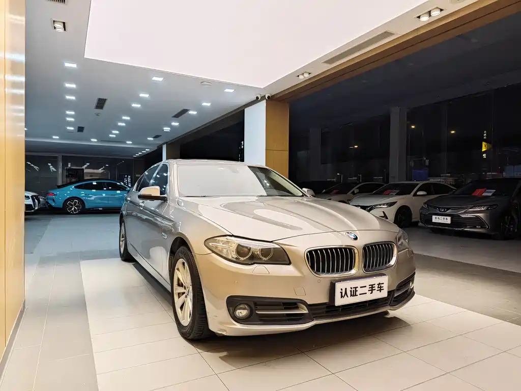 BMW BMW 5 Series 2014 520Li Elegant Edition 2014 - thumbnail 4