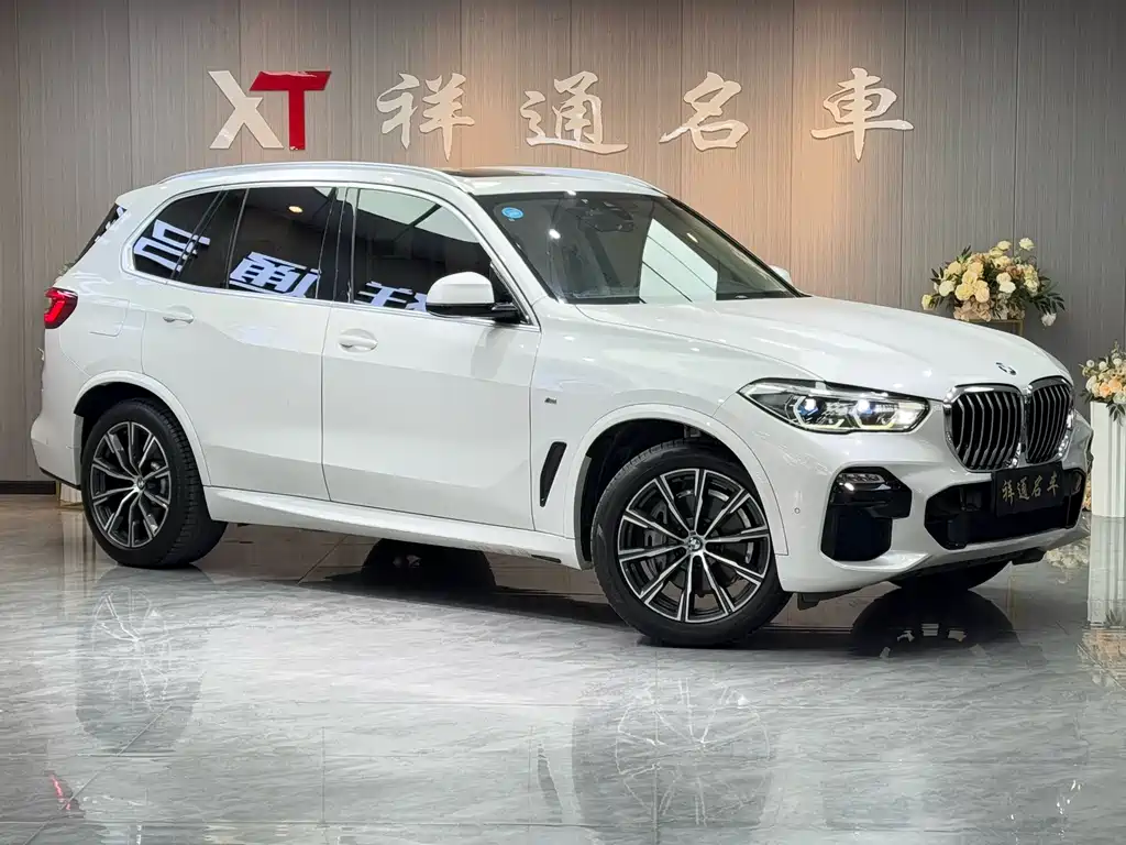 BMW BMW X5 xDrive40i M Sport Package (Imported) 2019 Model 2019 - thumbnail 3