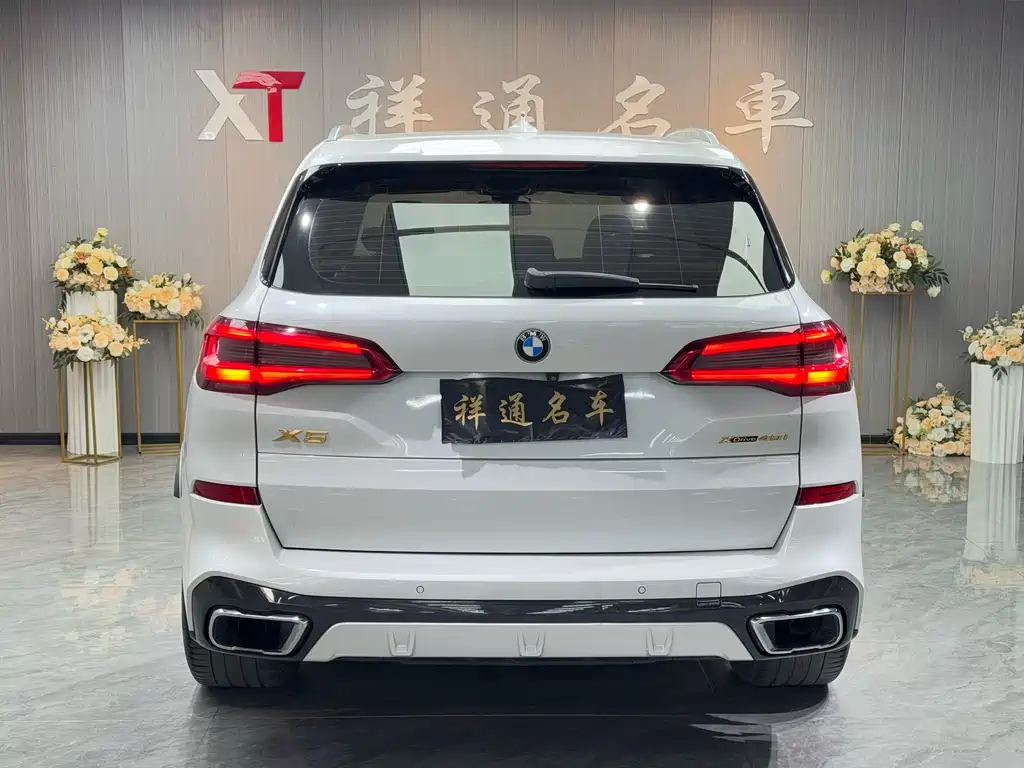 BMW BMW X5 xDrive40i M Sport Package (Imported) 2019 Model 2019 - thumbnail 9
