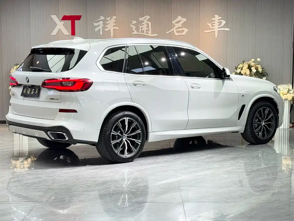 BMW BMW X5 xDrive40i M Sport Package (Imported) 2019 Model 2019 - thumbnail 10