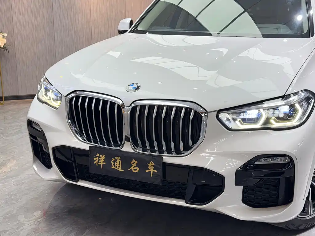 BMW BMW X5 xDrive40i M Sport Package (Imported) 2019 Model 2019 - thumbnail 25