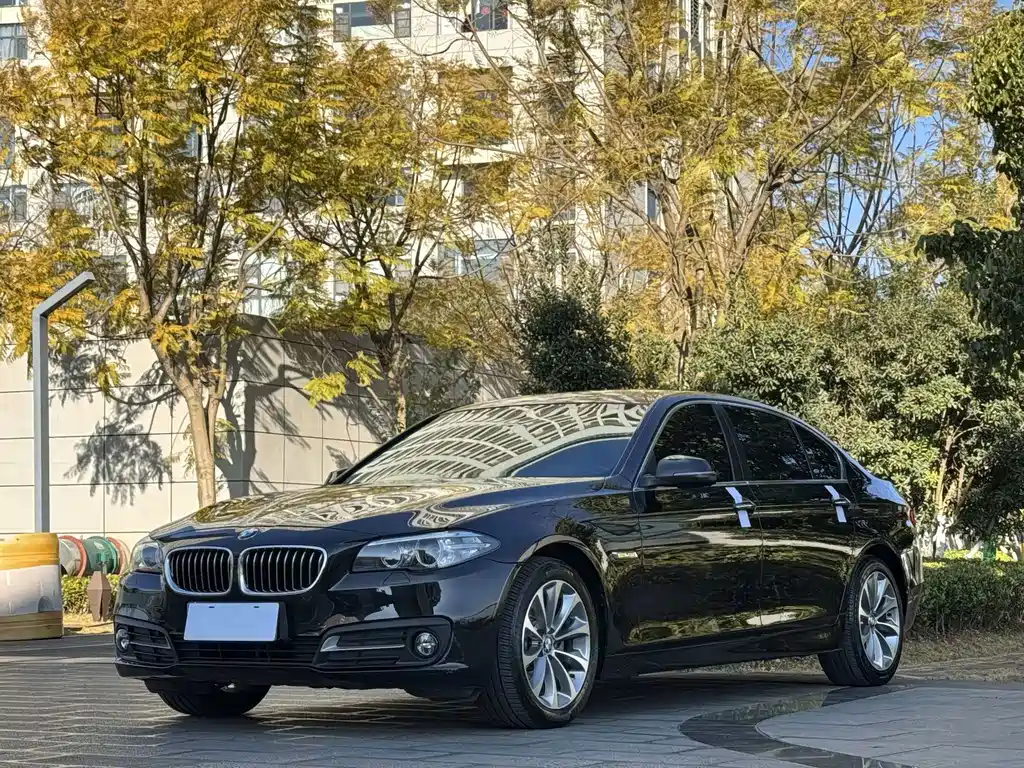 BMW BMW 5 Series 2017 525Li Leading Edition 2017