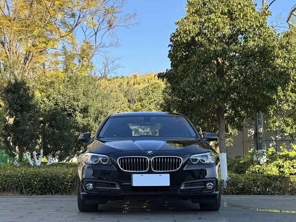 BMW BMW 5 Series 2017 525Li Leading Edition 2017 - thumbnail 2