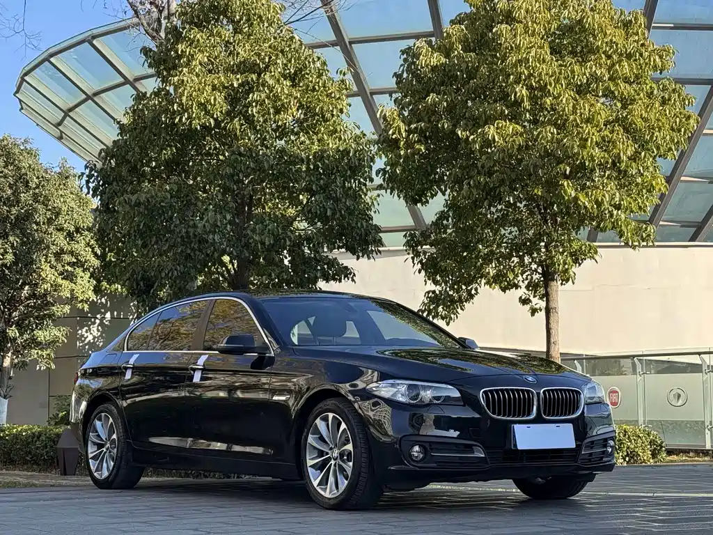 BMW BMW 5 Series 2017 525Li Leading Edition 2017 - thumbnail 3