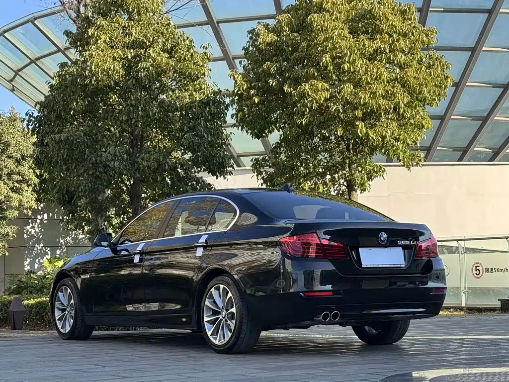 BMW BMW 5 Series 2017 525Li Leading Edition 2017 - thumbnail 7
