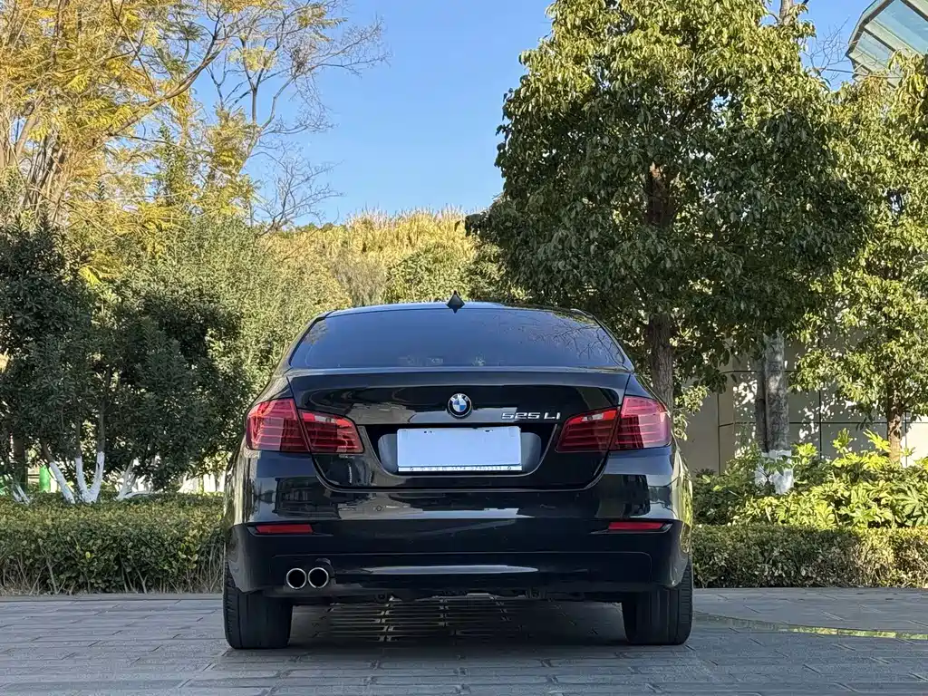 BMW BMW 5 Series 2017 525Li Leading Edition 2017 - thumbnail 8