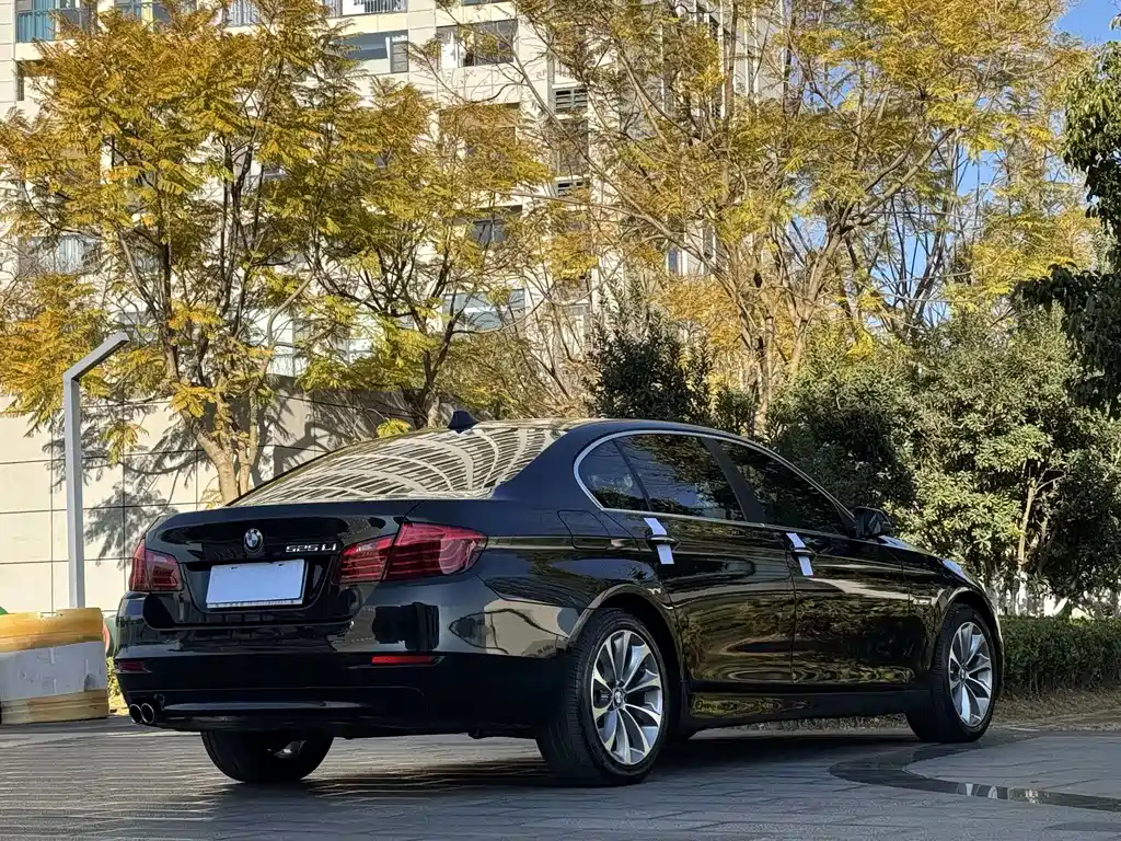 BMW BMW 5 Series 2017 525Li Leading Edition 2017 - thumbnail 9